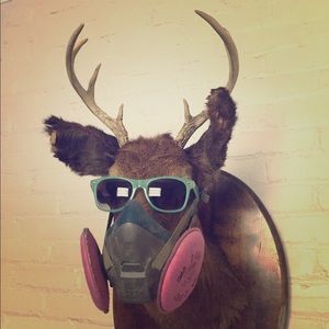 Meet your Posher, Brian